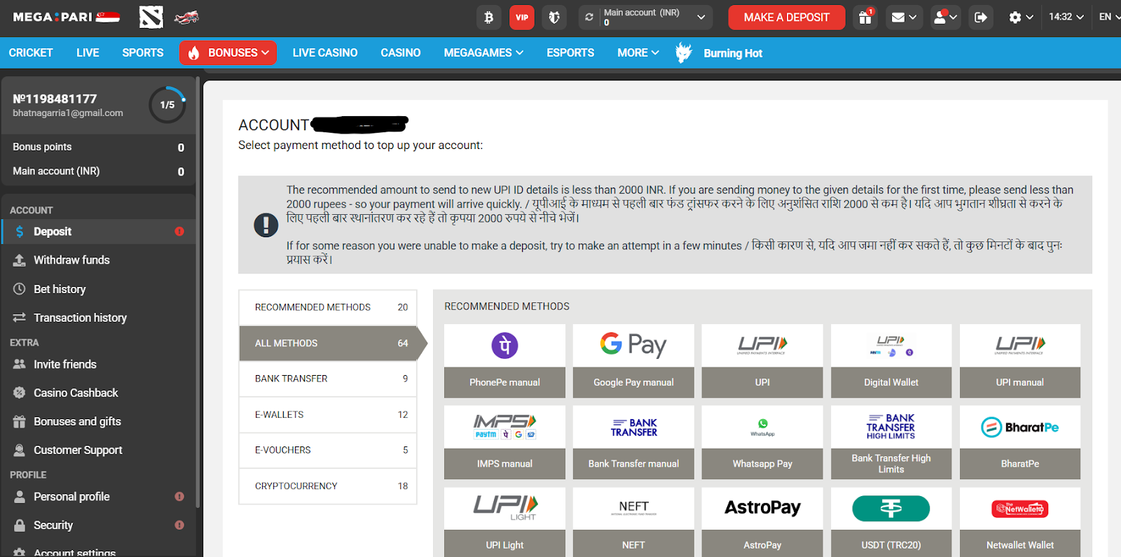 Megapari account verification