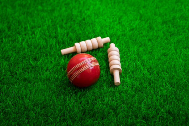 cricket ball and bails on green grass