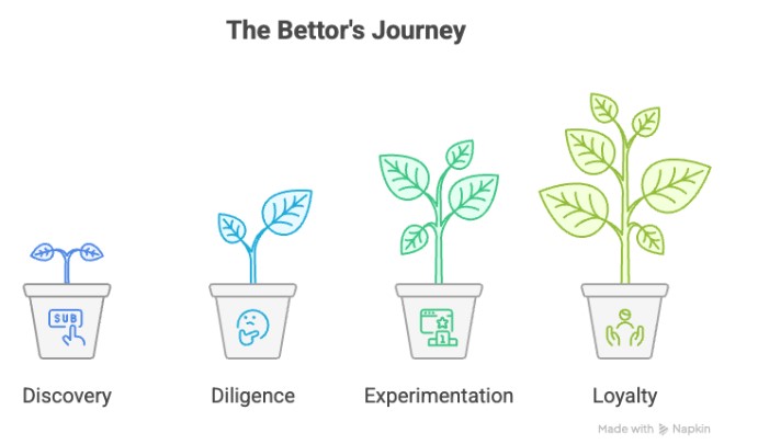 Brazil bettor's journey